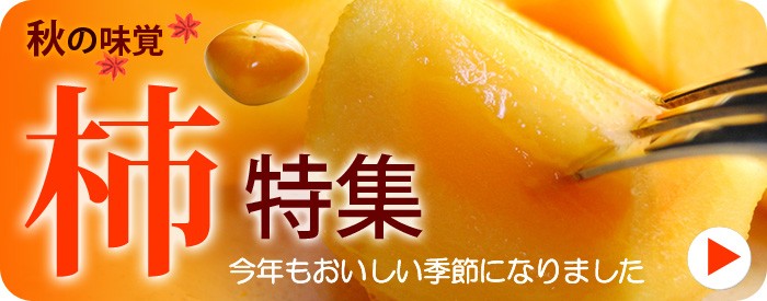 柿特集