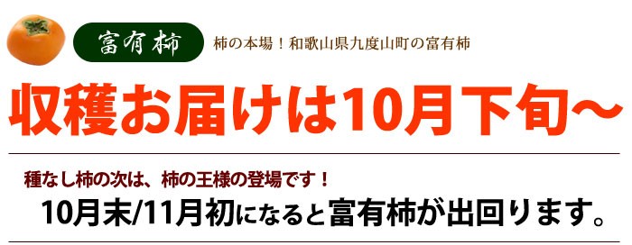 富有柿の収穫お届けは10月〜