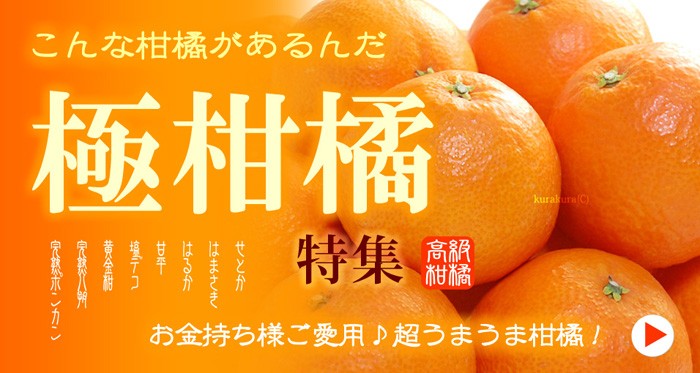 国産の柑橘特集