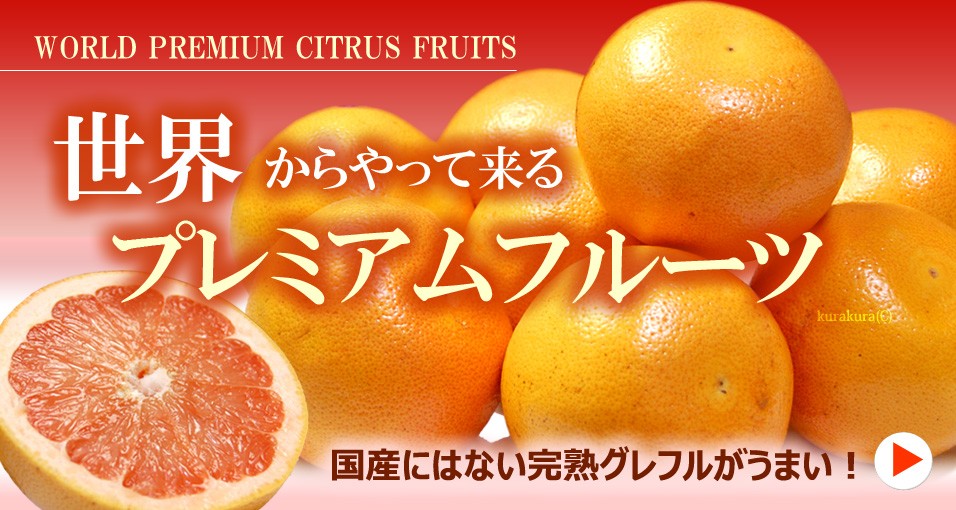 世界の柑橘特集