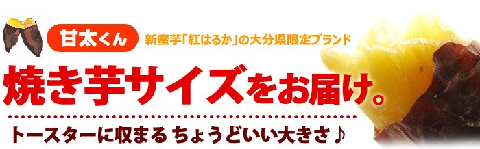 甘太くん販売は焼き芋サイズ