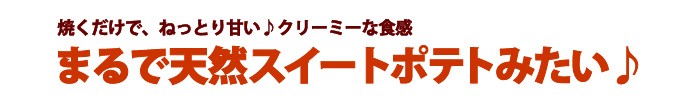 甘太くんまるで天然スイートポテト