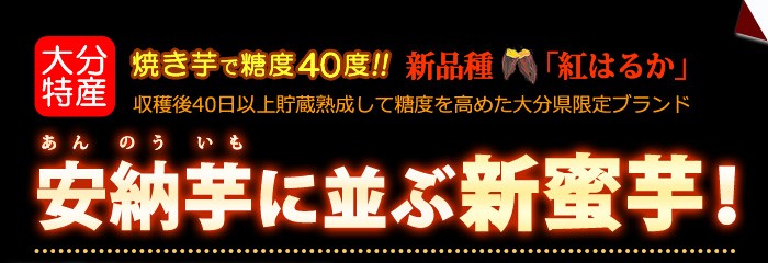 安納芋に並ぶ新甘藷「甘太くん」