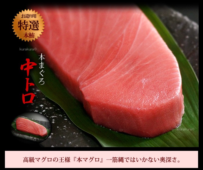 本マグロ中トロの刺身盛