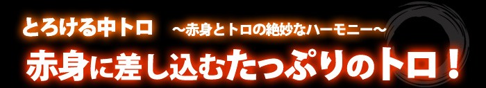 赤身に差し込むたっぷりのトロ