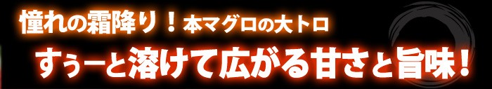 すぅーと溶ける大トロの甘味と旨味