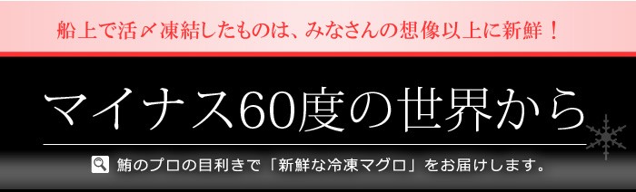 マイナス60度の冷凍マグロ