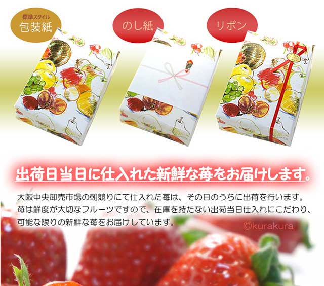 古都華 いちご デラックス (約270g×2P) 奈良産 古都華DX ことか