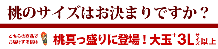 桃のサイズはお決まりですか？大玉+3Lサイズ