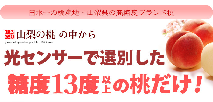 光センサー選果の高糖度桃13度以上基準