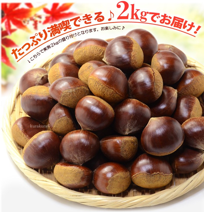 栗 3L (約2kg) 熊本・愛媛・茨城産 大粒 和栗 生栗 くり クリ 食品