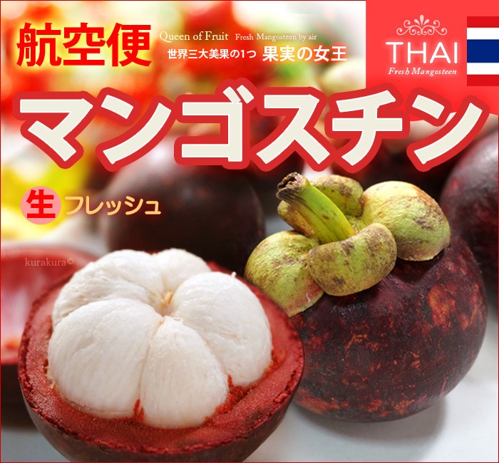 フレッシュ 生 マンゴスチン (約1.2kg) タイ産 まんごすちん 世界三大美果 トロピカルフルーツ 食品 フルーツ 果物 マンゴスチン  トロピカルフルーツ