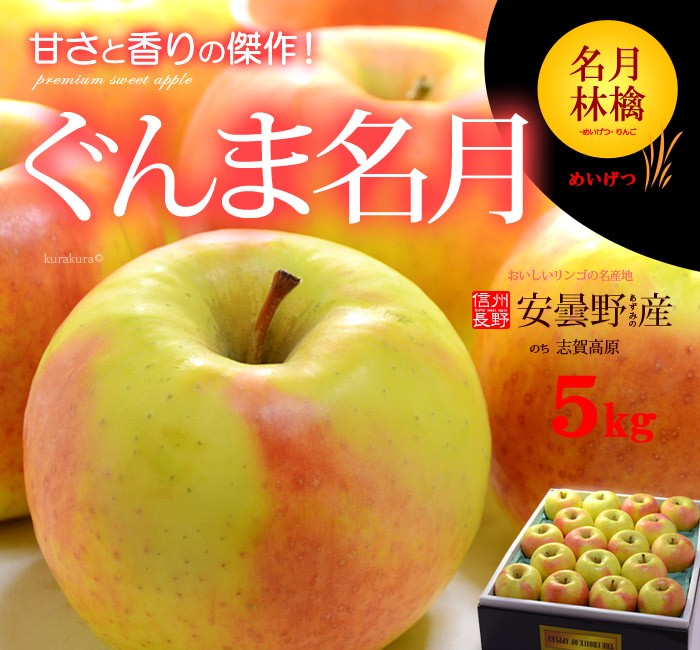 ぐんま名月リンゴ5kg販売/通販
