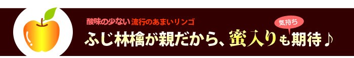 蜜入りも期待ぐんま名月リンゴ