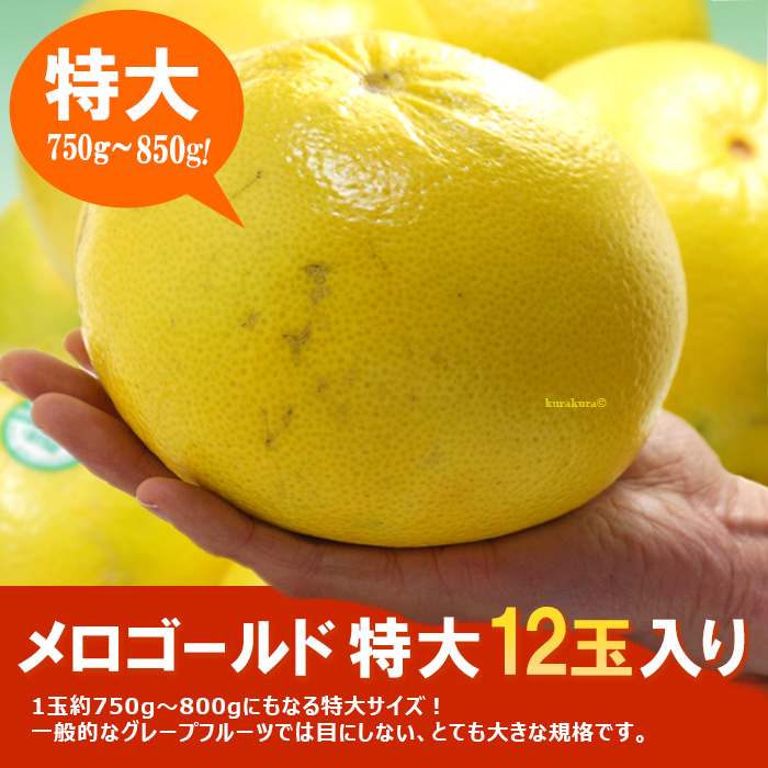 メロゴールド特大12玉入り販売