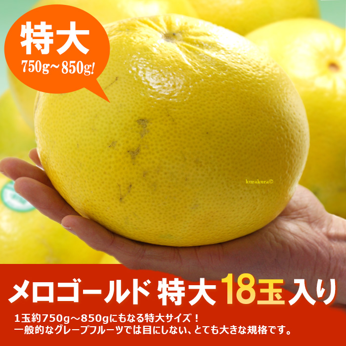 メロゴールド特大18玉入り販売