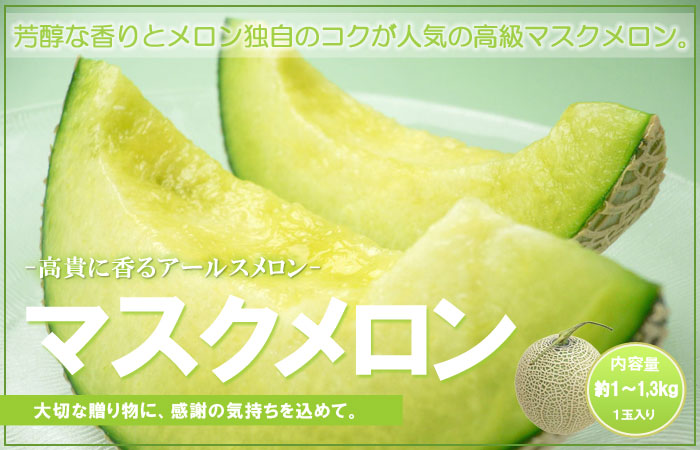 アールスメロン (1玉) 産地お任せ マスクメロン メロン めろん melon