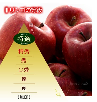 一般的なリンゴの等級ランク図