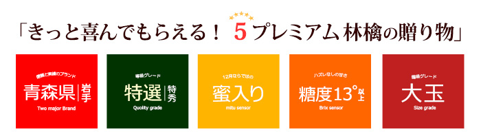 喜ばれる5プレミアムりんご