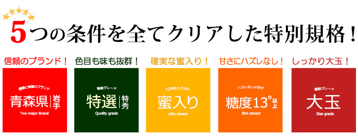 5プレミアム特別基準