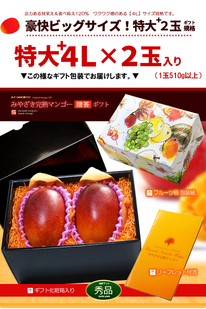 宮崎マンゴー (4L×2玉/約1020g) 宮崎産 赤秀〜青秀 完熟マンゴー