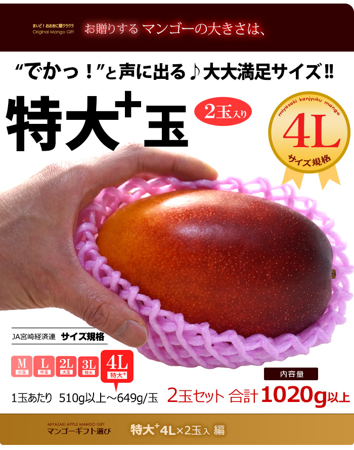 とっておきし福袋 【オススメ】 大 9玉セット 1.1キロ〜 ミニ