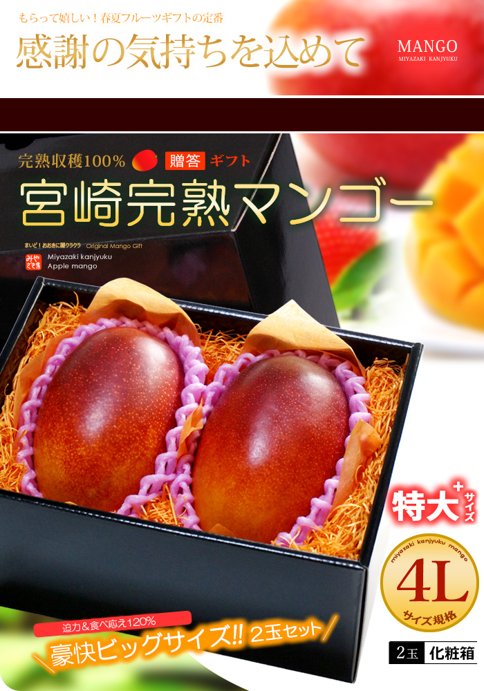 宮崎マンゴー (4L×2玉/約1020g) 宮崎産 赤秀〜青秀 完熟マンゴー 宮崎マンゴー (4L×2玉/約1020g) 宮崎産 赤秀〜青秀 完熟マンゴー