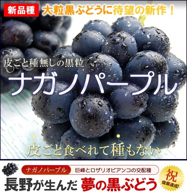 長野パープル4キロ ナガノパープル 4L×2房 (約1.2kg) 長野産 秀品 ながのぱーぷる
