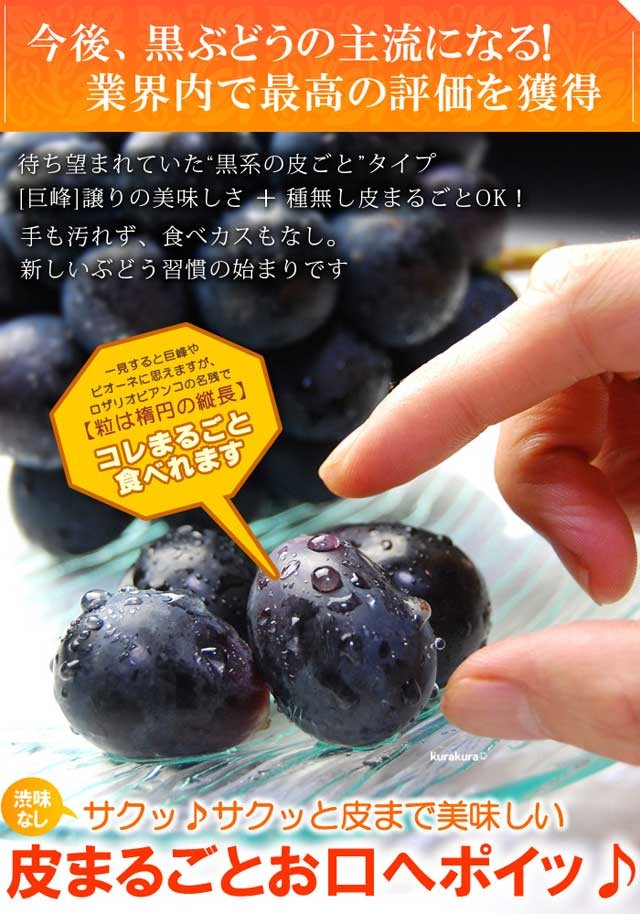 ナガノパープル 約4.8kg 9-11房 種なし 皮ごと ぶどう 楽天市場】ナガノパープル 4L×2房 (約1.2kg) 長野産 秀品 大粒