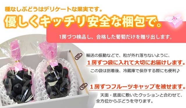 ナガノパープル 4L×2房 (約1.2kg) 長野産 秀品 ながのぱーぷる ぶどう