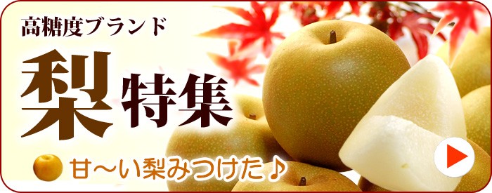 和梨特集