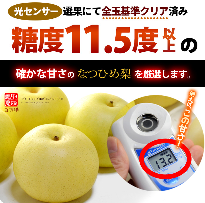 なつひめ梨 5-6玉 (約2kg) 鳥取産 秀品 3L 4L 大玉 糖度選果11.5