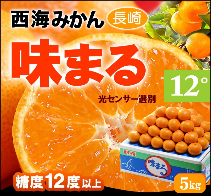 547長崎産 超希少みかん マコポン 家庭用果実約8㎏ トップ 547長崎産