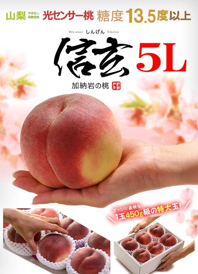 さくら白桃 信玄 5L×6玉 (約2.8kg) 山梨産 秀品 大玉 桃 もも モモ peach 白桃 糖度13.5度以上 残暑見舞い 夏ギフト 食品  フルーツ 果物 桃 ギフト 贈答 お供え : fi-2312a : まいどおおきに屋クラクラ - 通販 - Yahoo!ショッピング