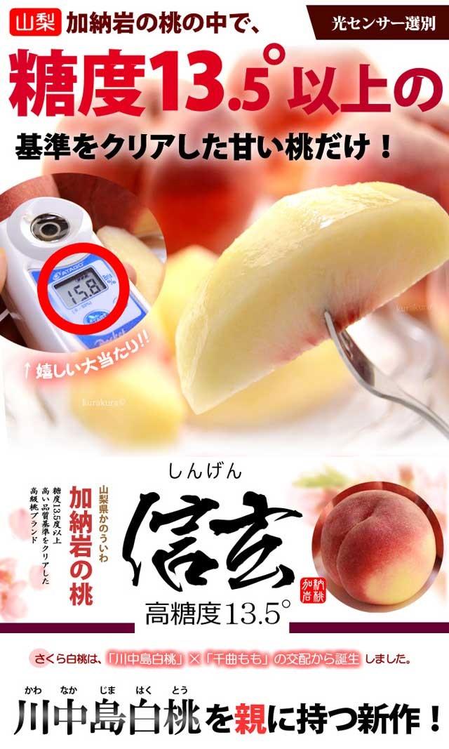 さくら白桃 信玄 5L×6玉 (約2.8kg) 山梨産 秀品 大玉 桃 もも