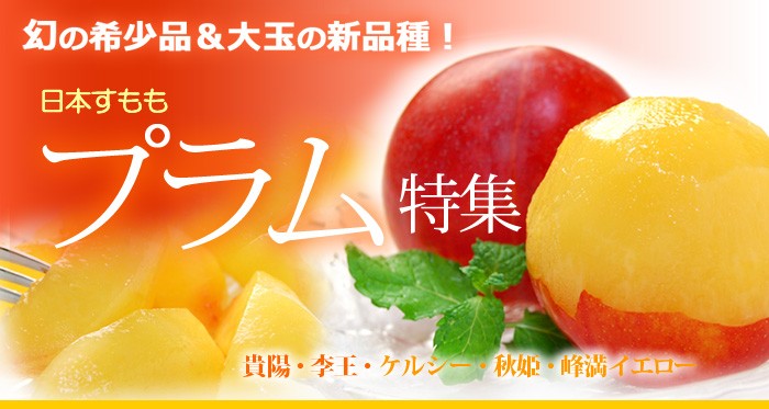 国産プラム特集