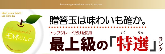 特選ランクの王林りんご限定