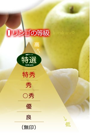 一般的なリンゴの等級ランク図