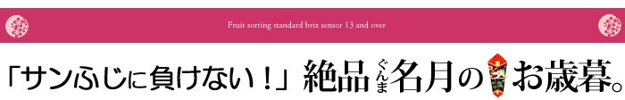 絶品ぐんま名月のお歳暮ギフト