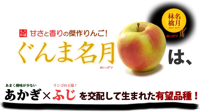ぐんま名月とは？