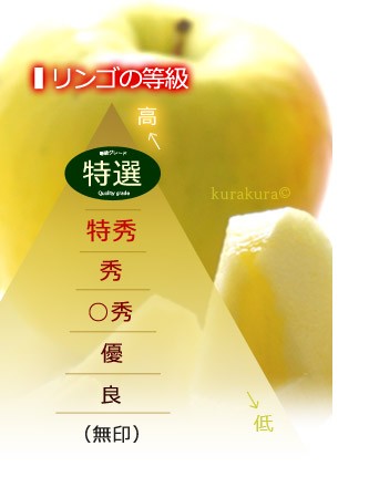 名月版/リンゴの等級ランク図
