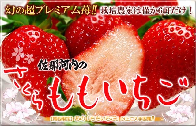 さくらももいちご(24粒 約700g)徳島産 いちご イチゴ 送料無料 :fi-1013:まいどおおきに屋クラクラ - 通販 -  Yahoo!ショッピング