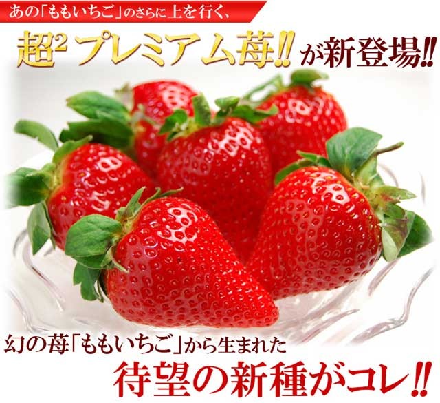 さくらももいちご (20粒 約700g) 徳島県 佐那河内産 いちご 化粧箱 も 