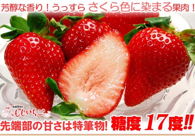 さくらももいちご (20粒 約700g) 徳島県 佐那河内産 いちご 化粧箱 も