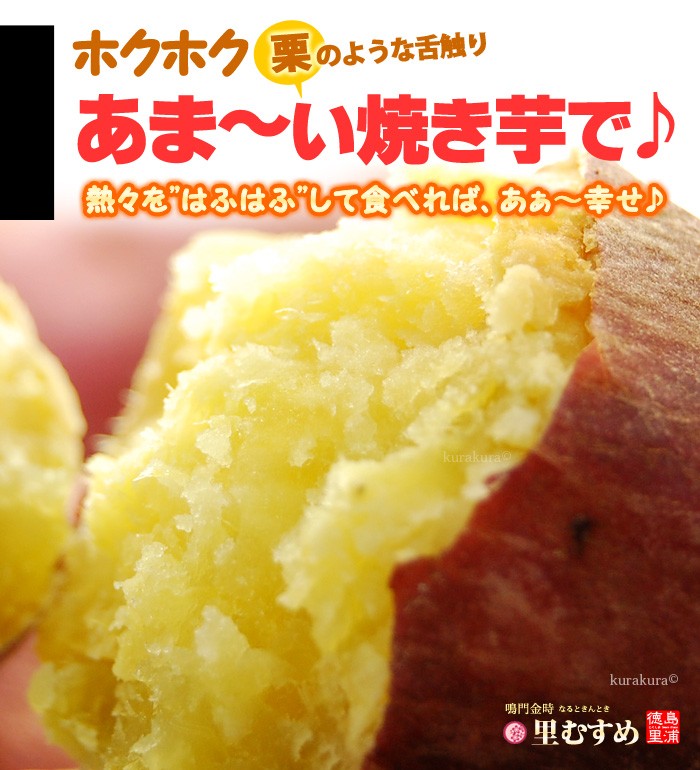 なると金時 里むすめ (M-L/5kg) 徳島県 里浦産 贈答ランク なると金時 里むすめ (M-L/5kg) 徳島県 里浦産 贈答ランク