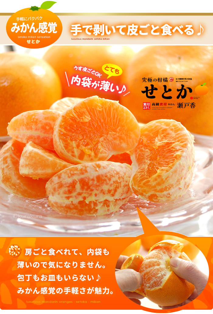 露地栽培 せとか (約3kg) 愛媛・和歌山産 秀品 贈答用 3キロ セトカ