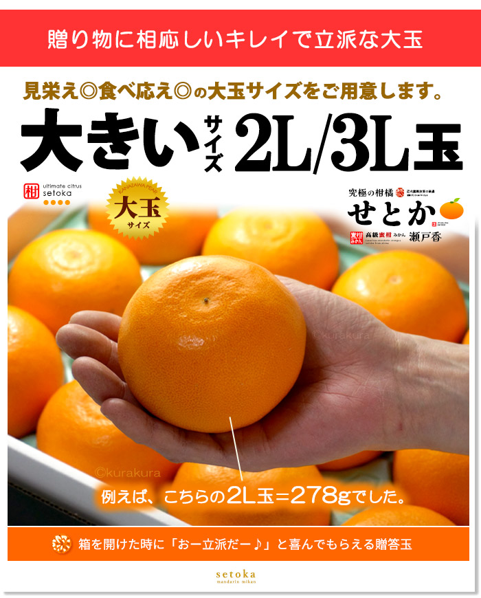 露地栽培 せとか (約3kg) 愛媛・和歌山産 秀品 贈答用 3キロ セトカ