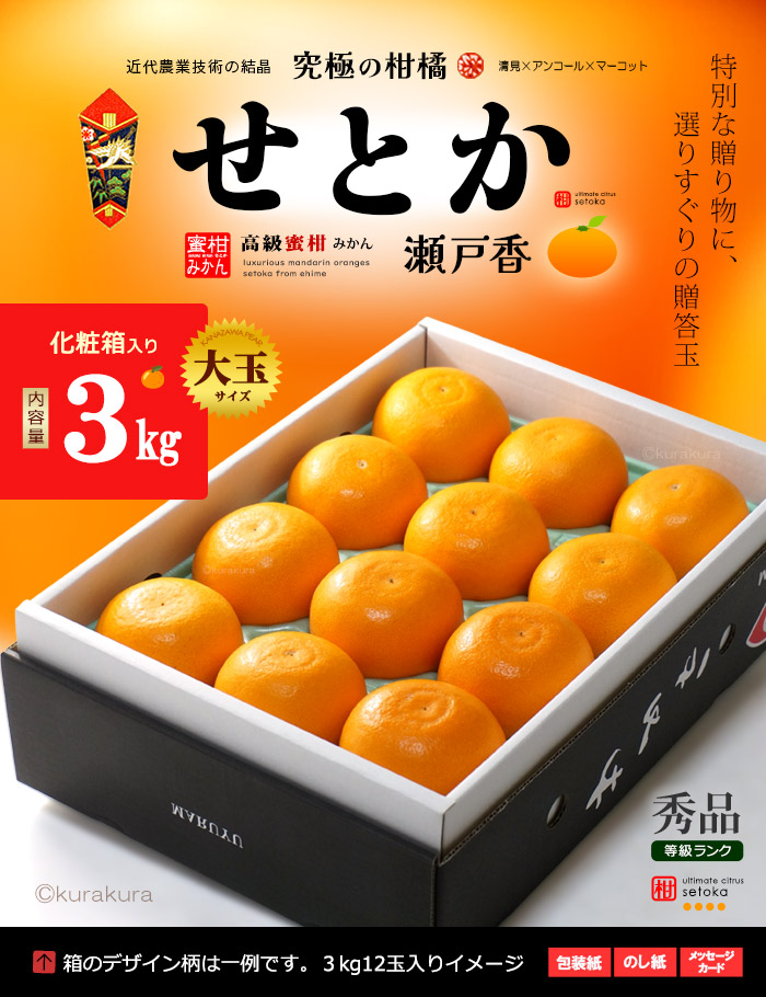 露地栽培 せとか (約3kg) 愛媛・和歌山産 秀品 贈答用 3キロ セトカ