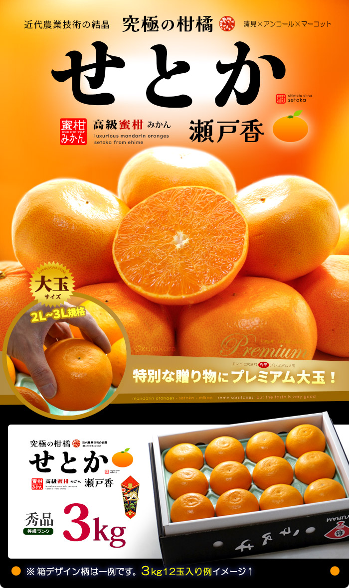 露地栽培 せとか (約3kg) 愛媛・和歌山産 秀品 贈答用 3キロ セトカ