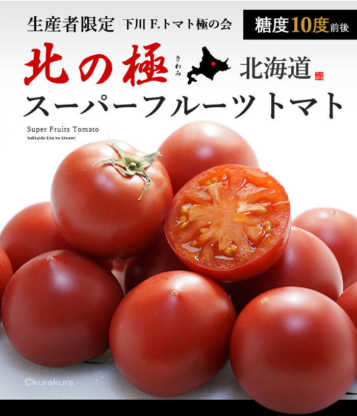 好きに 北の極 スーパーフルーツトマト (約800g) ギフト 野菜 tomato トマト 北海道 きのこ フルーツ 食品 とまと 甘い 高糖度 トマト  フルーツトマト 下川町産 贈答 トマト